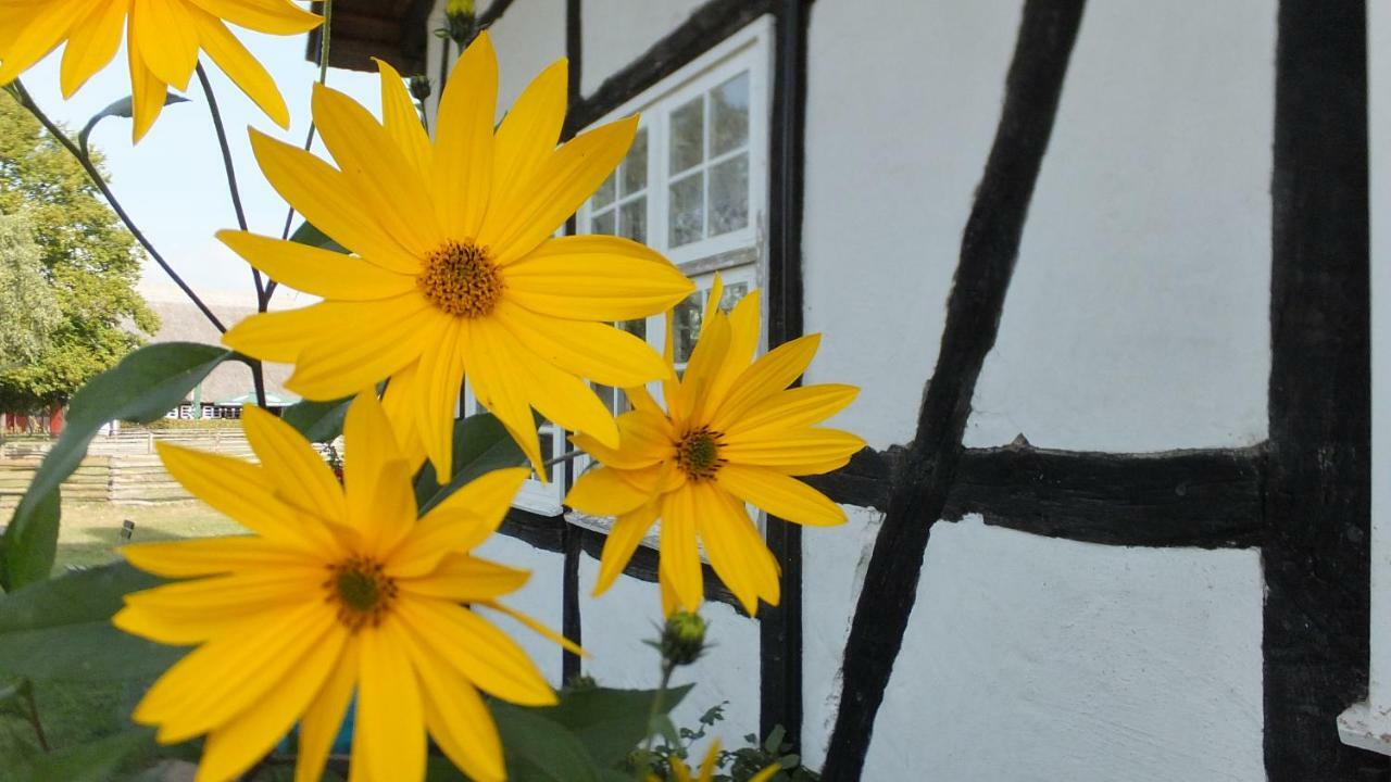 Ferienwohnung "Schonzeit" Graal-Mueritz Exterior foto